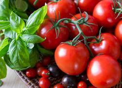The image for DATE NIGHT - RUSTIC ITALIAN