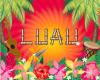 The image for DATE NIGHT - HAWAIIAN LUAU