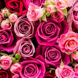 The image for DATE NIGHT - ANOTHER VERY SPECIAL (ALMOST) VALENTINES