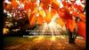 The image for DATE NIGHT - AUTUMN ROMANCE