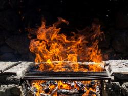 The image for FIRE UP THE GRILL!
