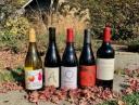 The image for WINE TASTING - WASHINGTON STATE